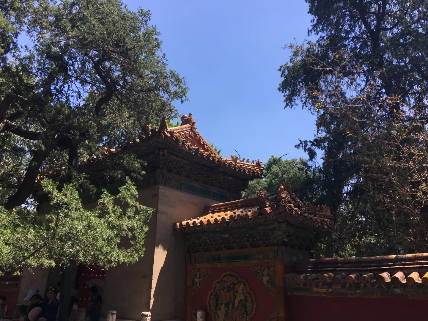 Ornamented rooflines among trees in the Forbidden City’s Imperial Garden